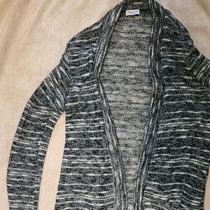 Splendid Long Sweater